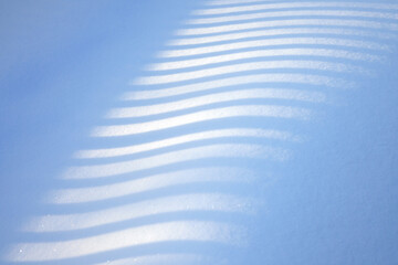 Beautiful delicate texture with brilliant streaks of sunlight. Natural background.