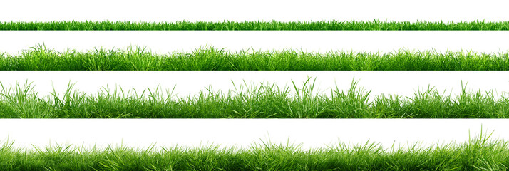 Fototapeta premium Collection of green grass borders, seamless horizontally, isolated on white background. 3D render. 3D illustration.