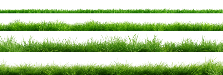 Collection of green grass borders, seamless horizontally, isolated on white background. 3D render. 3D illustration.