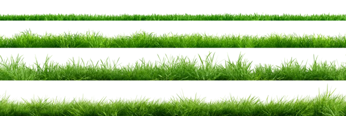 Fotobehang Collection of green grass borders, seamless horizontally, isolated on white background. 3D render. 3D illustration. © schab