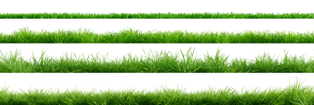 Collection of green grass borders, seamless horizontally, isolated on white background. 3D render. 3D illustration.
