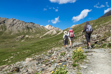 Fototapeta na wymiar Paysage estival du Massif du Queyras , vers le Col Agnel , dans les Hautes - Alpes