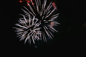 Fototapeta premium Night fireworks against dark sky