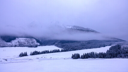 Obraz premium Winterlandschaft