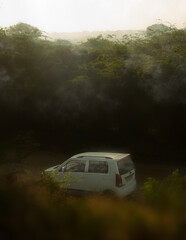 Fototapeta na wymiar car in the fog middle of a forest