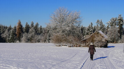 Frau geht in einer Winterlandschaft spazieren