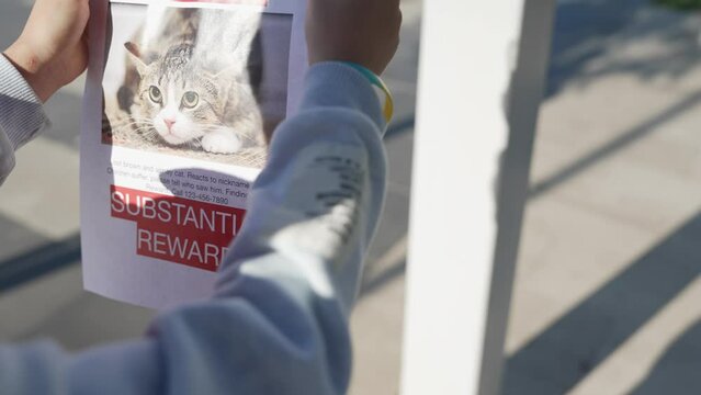 Schoolboy putting up missing pet banners.