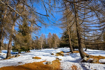 Dolomiti, Trentino Alto Adige, inverno e neve