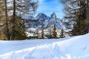 Dolomiti, Trentino Alto Adige, Pale di San Martino
