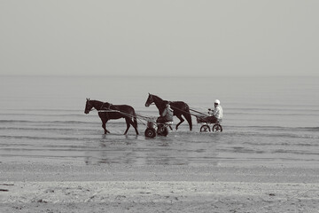 2 horse drivers on sulkies