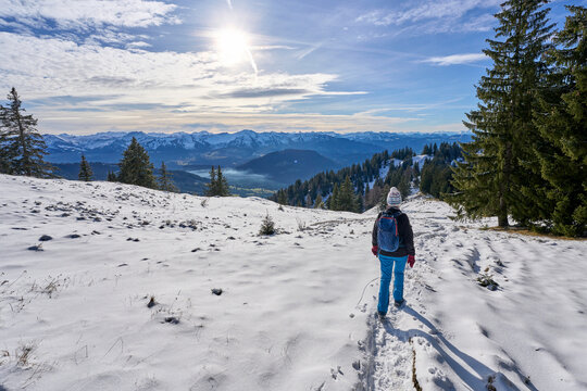 nice senior woman hiking on sunny day in the snowy landscape of the Allgaeu Alps above Oberstaufen, Bavaria, Germany