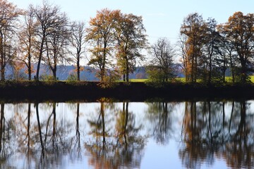 Seeufer mit Bäumen und Spiegelung