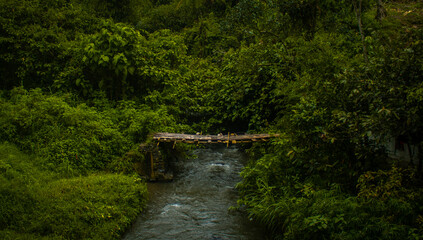 view of the river with the water flowing fast after the rain fell in the afternoon
