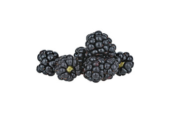 Blackberry fresh isolated on transparent png