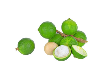 Macadamia nuts fresh isolated on transparent png