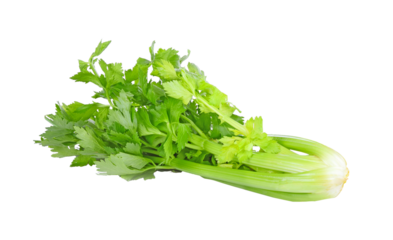 celery isolated on transparent png