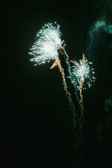 Night fireworks against dark sky