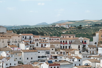 Fototapeta na wymiar view of an Andalusian city