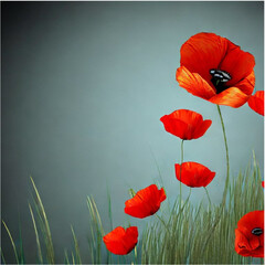 Naklejka premium Hintergrund Klatschmohn