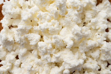 Fermented milk product cottage cheese, healthy food, baby food, close-up, top view