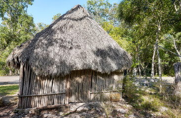 Fototapeta na wymiar Picture of a Mexican jungle Mayan hut.