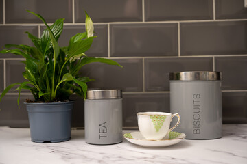 tea and biscuit cannisters porcelain cup and saucer with leafy green plant on a marble work top