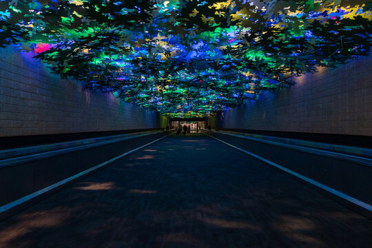 Atlana, Georgia - December 27, 2022: The famous rainforest garden tunnel in the ATL Hartsfield-Jackson International Airport between terminals A and B