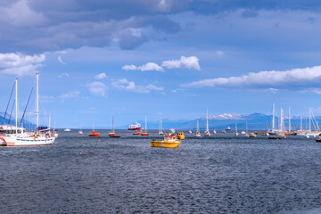 boats in the harbour