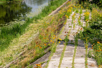 Pedestrian walkway on top of a levee on a warm sunny day. Summer.