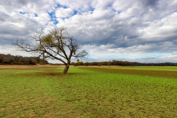 Rankin Bottoms Wildlife Refuge along the Nolichucky and French Broad Rivers in TN.