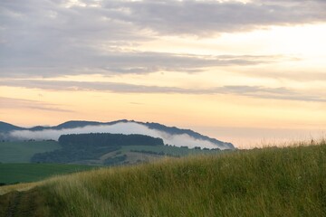 Mist in the forest. Sunrays behind the trees. Slovakia