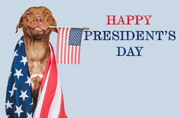 Lovable, charming puppy, American Flag and Happy Presidents' Day lettering. Closeup, indoors....