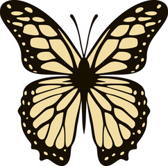 Design of butterfly draw