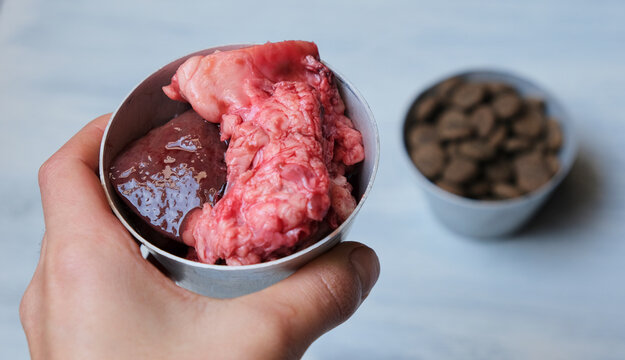 Bowl con galletas para perro y bowl con carne cruda natural. Cambio a una mejor nutrici&oacute;n para tus mascotas. Dieta barf para perros