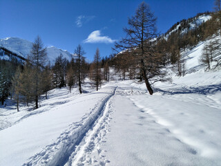 snowy winter panorama of the valley.