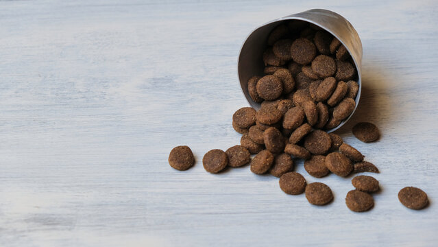 Bowl de galletas para perro tiradas sobre un fondo claro de madera 