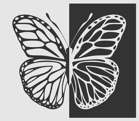 Design of butterfly draw