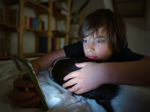 Boy with looking at smart phone lying of the bed in the room with his dog. Copy space, miejsce na tekst, chlopiec ze smartfonem i psem.