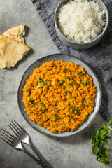 Homemade Lentil Dal with Rice