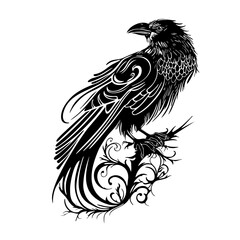 Long tail gothic Raven, hand drawn, low points, one color.