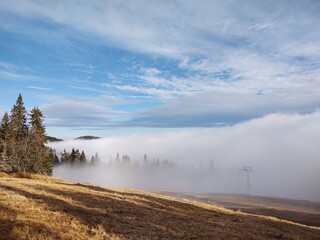 Mist in the forest. Sunrays behind the trees. Slovakia