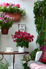 Fototapeta na wymiar kącik wypoczynkowy na tarasie, romantyczny kącik wypoczynkowy (Nicotiana × sanderae ) 