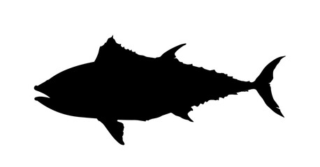 silhouette of a fish, tuna