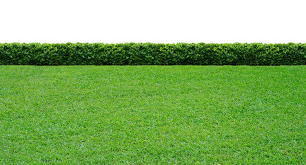 green fence and grass on transparent background. PNG file.