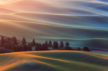 Barley fields cover much of the rolling hills of the Palouse region of eastern Washington State.