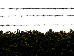 Dark barbed wire on transparent background. PNG file. - obrazy, fototapety, plakaty