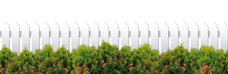 White fence and plant on transparent background. PNG file.