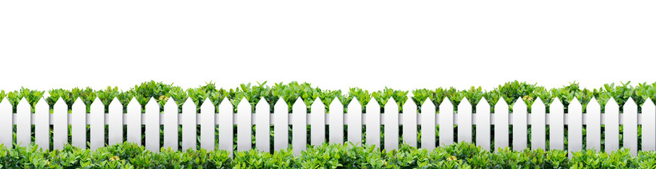 White fence and plant on transparent background. PNG file.