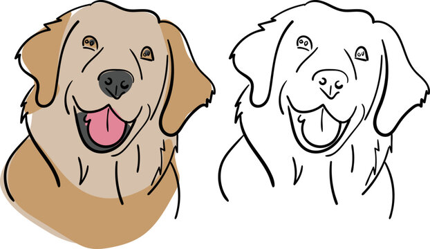 Golden Retriever hand drawn with color splash. Dog sketch graphic.