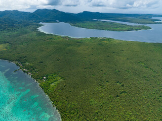 A giant coconut palm plantation is found in the Solomon Islands. This country exports large amounts...